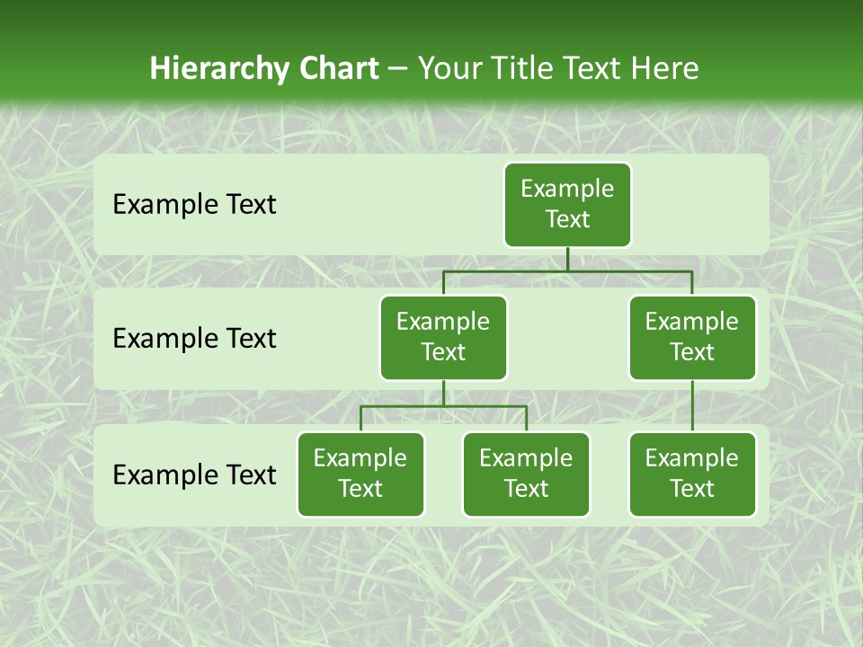 Green Grass Powerpoint Presentation Template PowerPoint Template