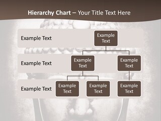 A Buddha Statue Is Shown In Black And White PowerPoint Template