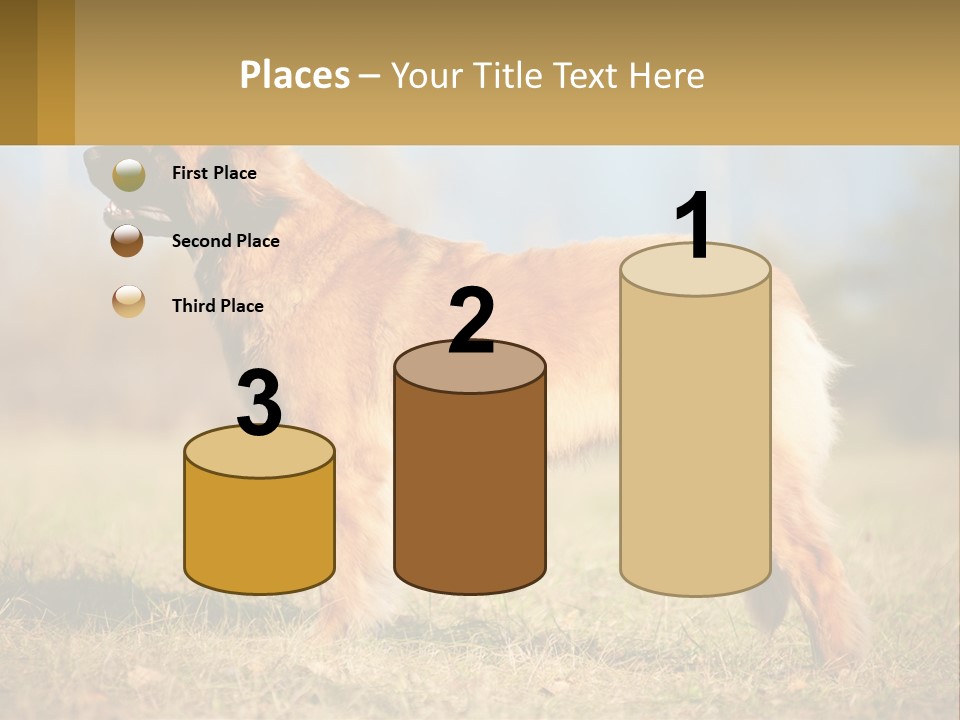 A Large Brown Dog Standing On Top Of A Grass Covered Field PowerPoint Template