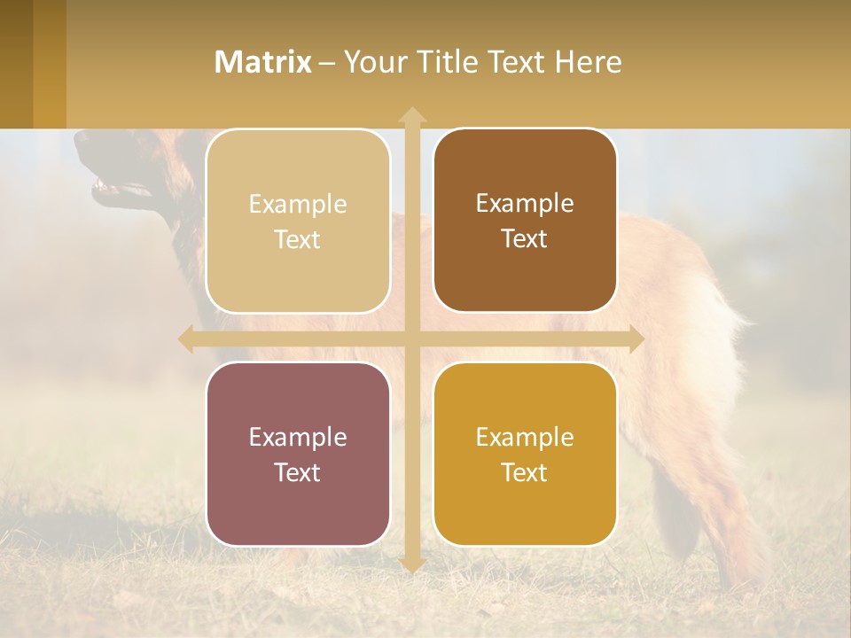 A Large Brown Dog Standing On Top Of A Grass Covered Field PowerPoint Template