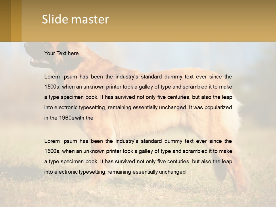 A Large Brown Dog Standing On Top Of A Grass Covered Field PowerPoint Template