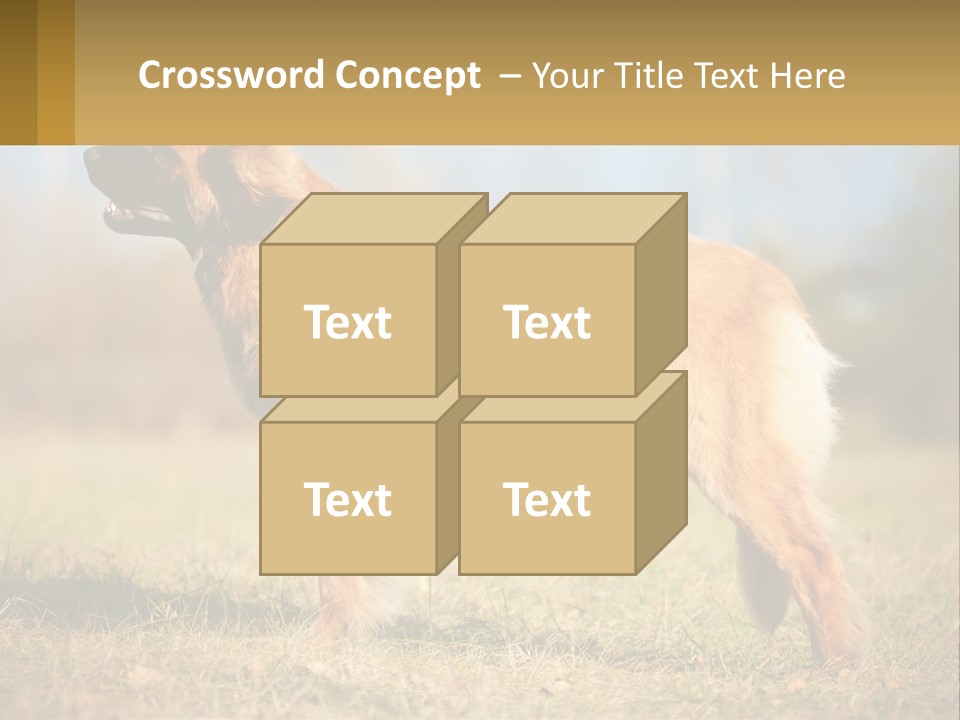 A Large Brown Dog Standing On Top Of A Grass Covered Field PowerPoint Template