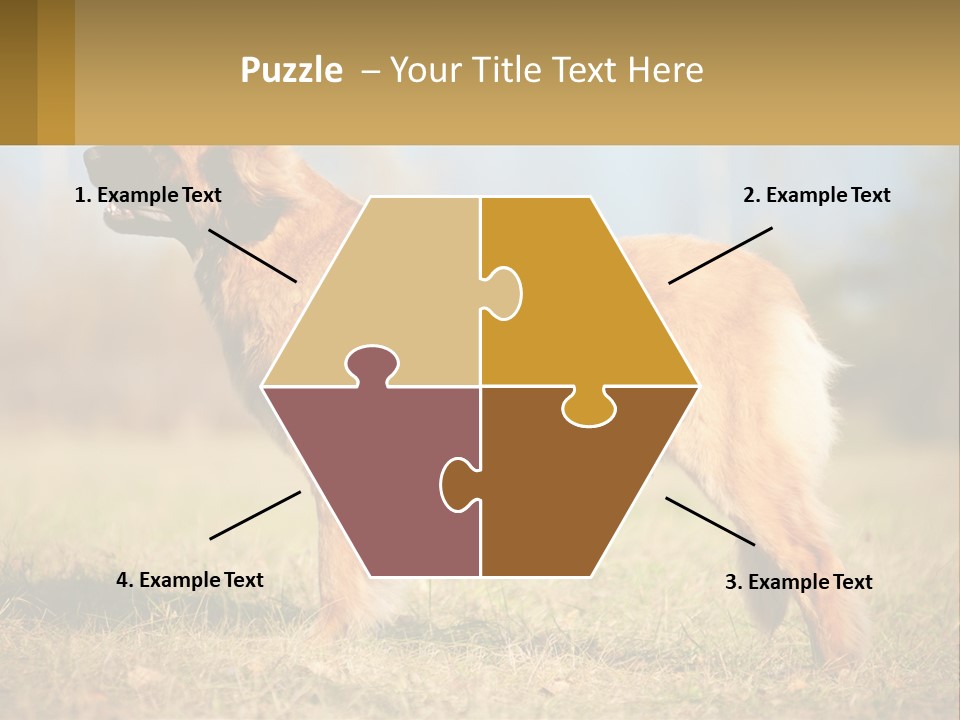 A Large Brown Dog Standing On Top Of A Grass Covered Field PowerPoint Template