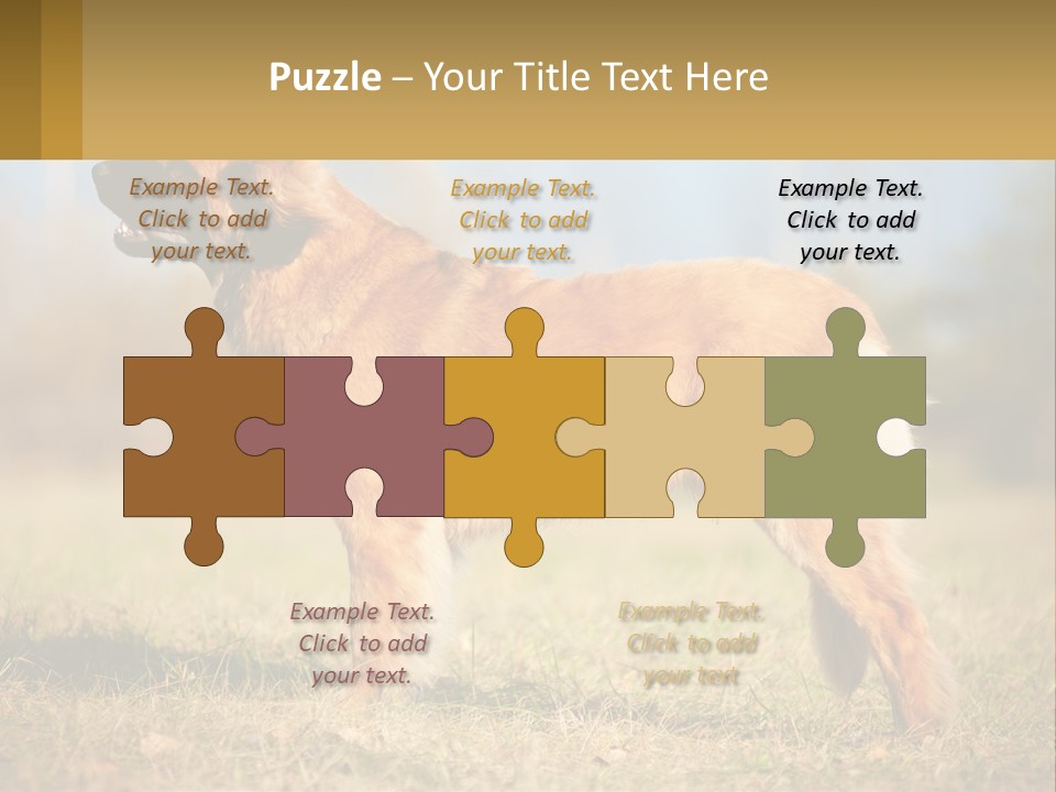 A Large Brown Dog Standing On Top Of A Grass Covered Field PowerPoint Template