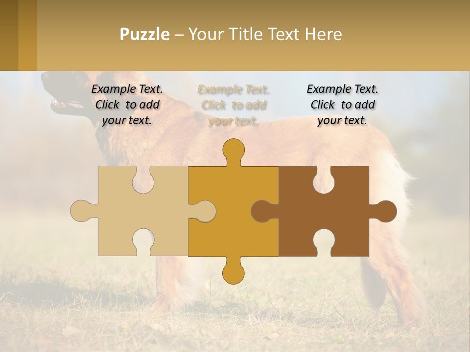 A Large Brown Dog Standing On Top Of A Grass Covered Field PowerPoint Template