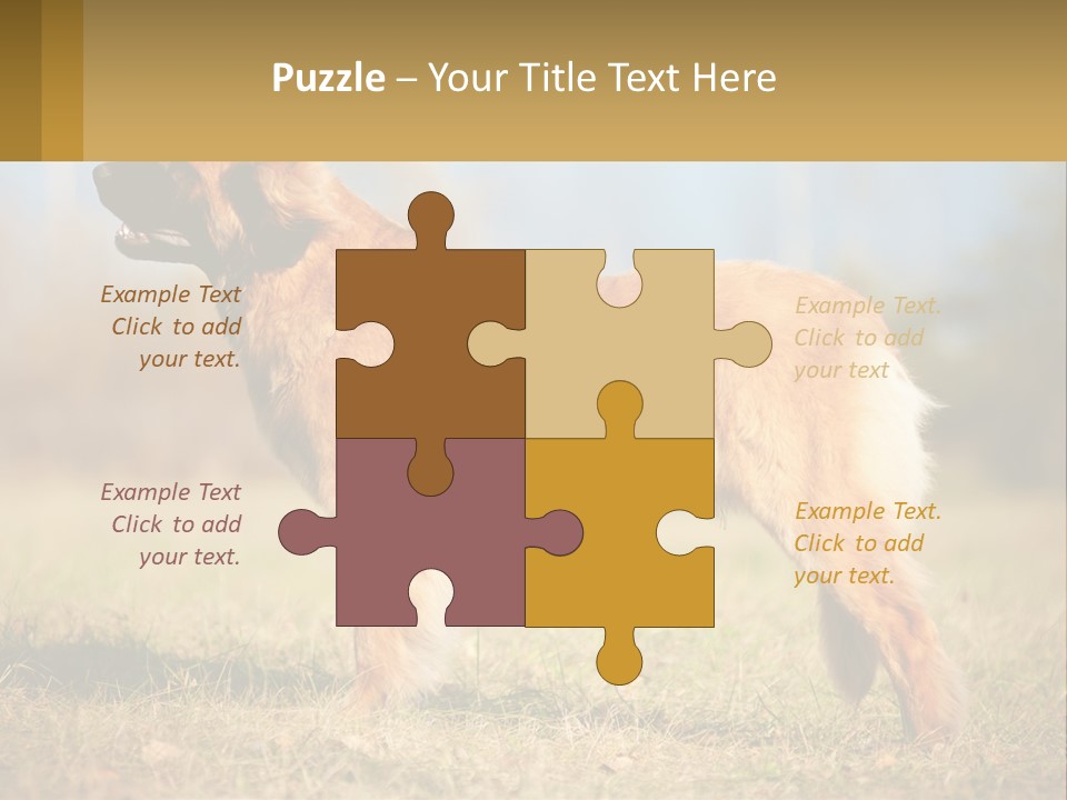 A Large Brown Dog Standing On Top Of A Grass Covered Field PowerPoint Template