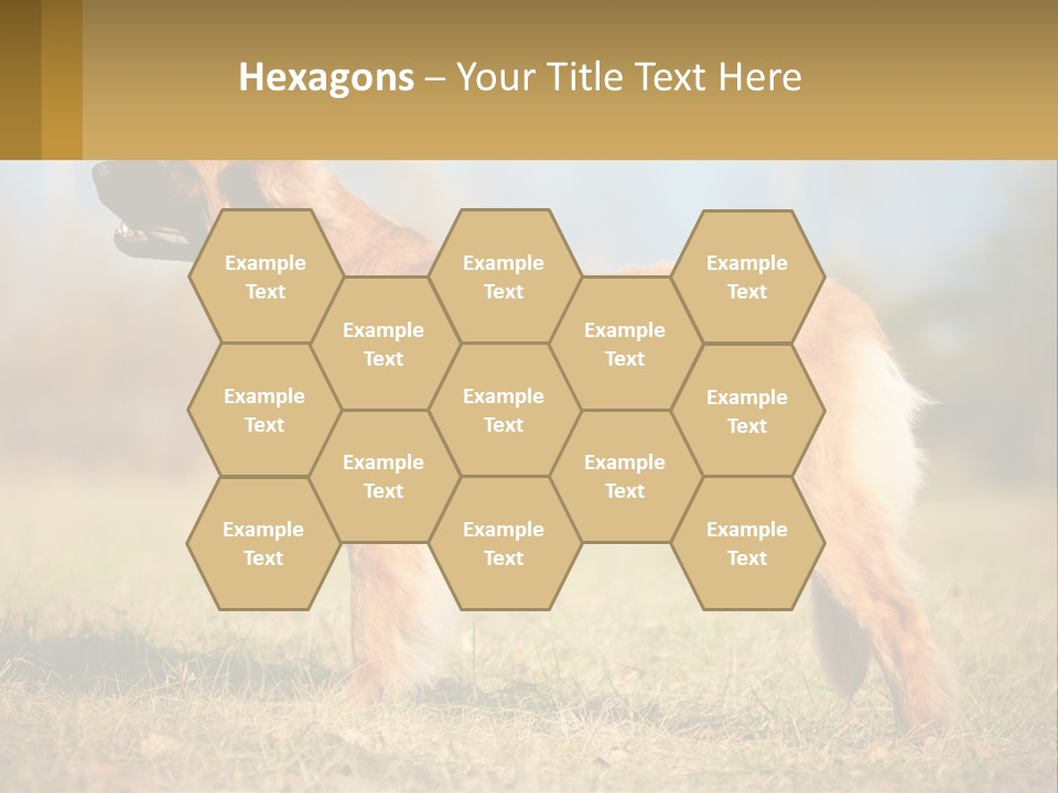 A Large Brown Dog Standing On Top Of A Grass Covered Field PowerPoint Template