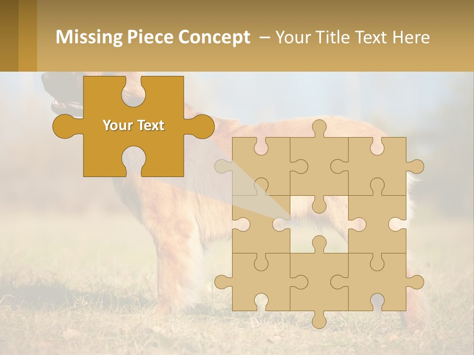 A Large Brown Dog Standing On Top Of A Grass Covered Field PowerPoint Template