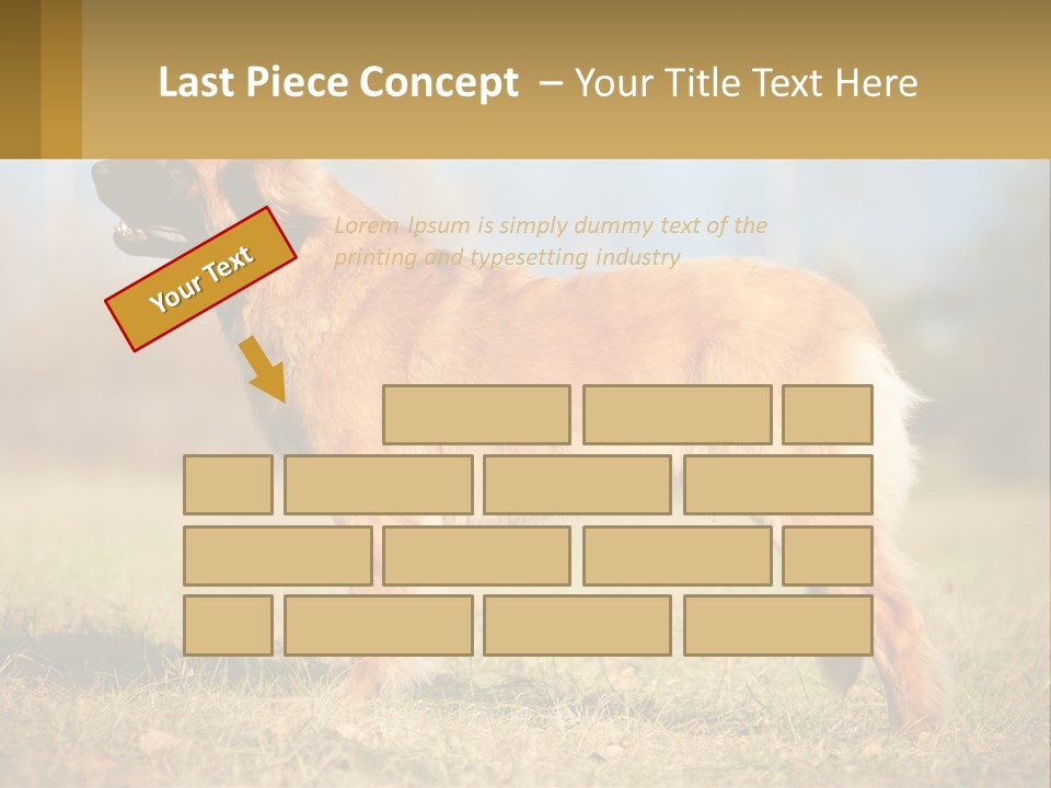 A Large Brown Dog Standing On Top Of A Grass Covered Field PowerPoint Template