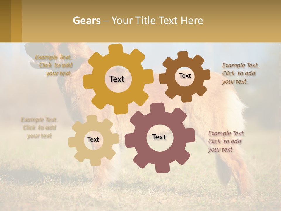 A Large Brown Dog Standing On Top Of A Grass Covered Field PowerPoint Template