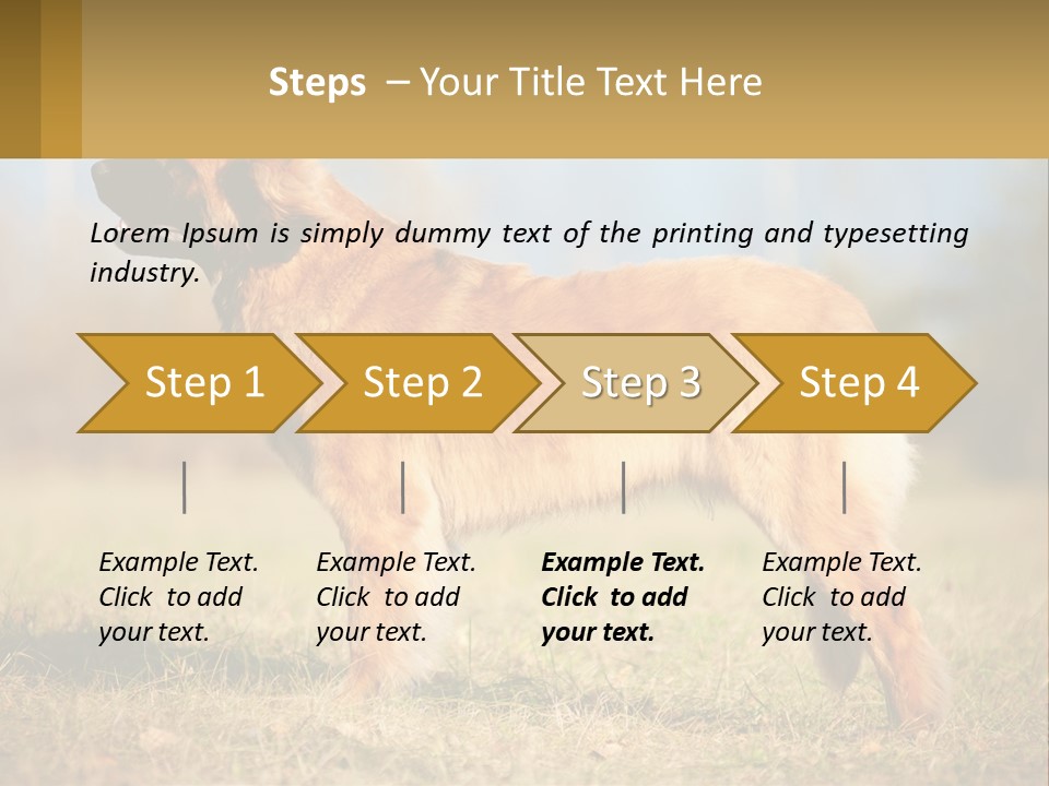 A Large Brown Dog Standing On Top Of A Grass Covered Field PowerPoint Template