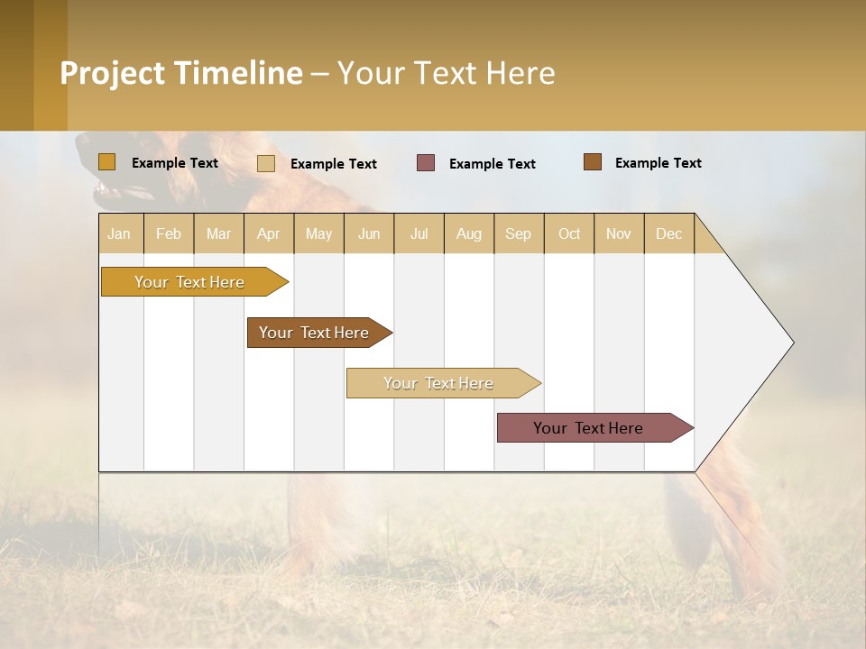 A Large Brown Dog Standing On Top Of A Grass Covered Field PowerPoint Template