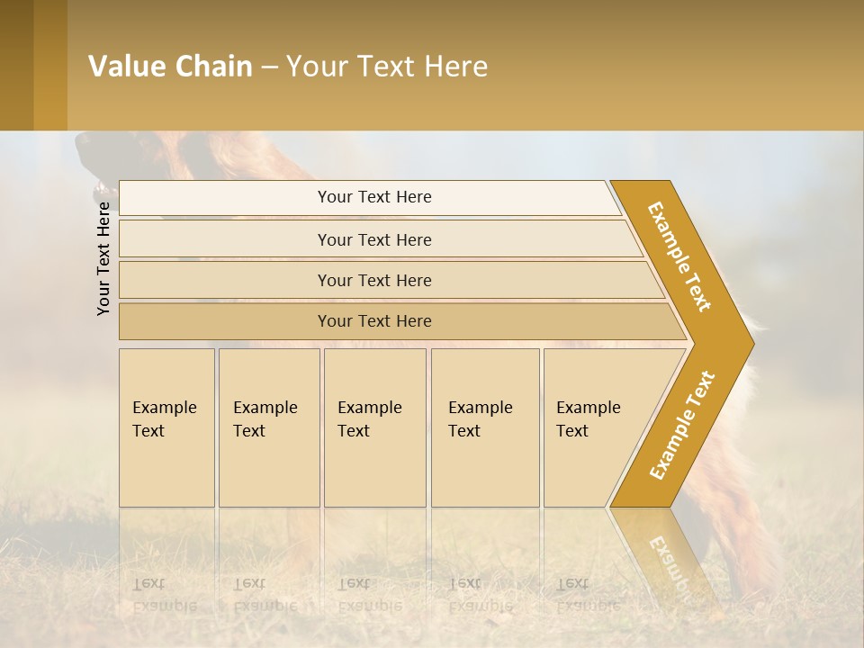 A Large Brown Dog Standing On Top Of A Grass Covered Field PowerPoint Template