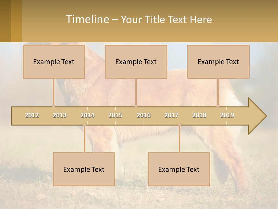 A Large Brown Dog Standing On Top Of A Grass Covered Field PowerPoint Template