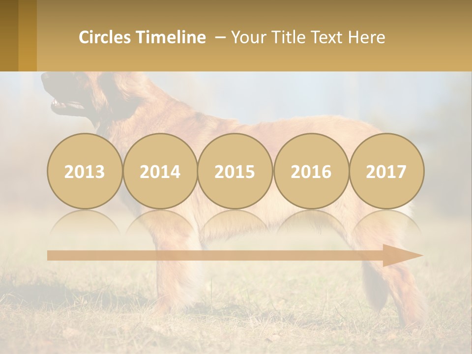 A Large Brown Dog Standing On Top Of A Grass Covered Field PowerPoint Template