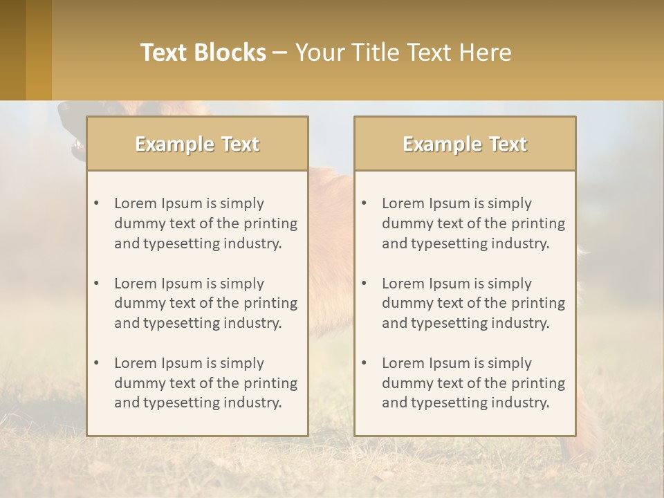 A Large Brown Dog Standing On Top Of A Grass Covered Field PowerPoint Template