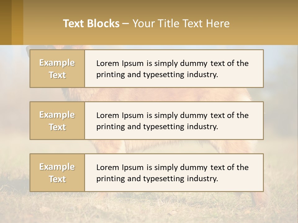 A Large Brown Dog Standing On Top Of A Grass Covered Field PowerPoint Template