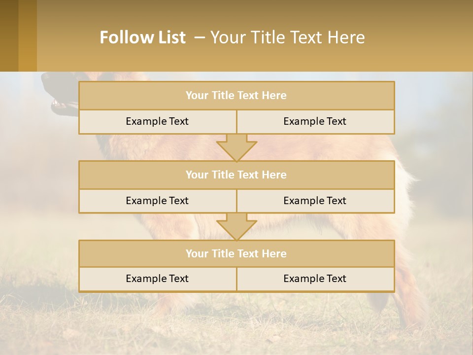 A Large Brown Dog Standing On Top Of A Grass Covered Field PowerPoint Template