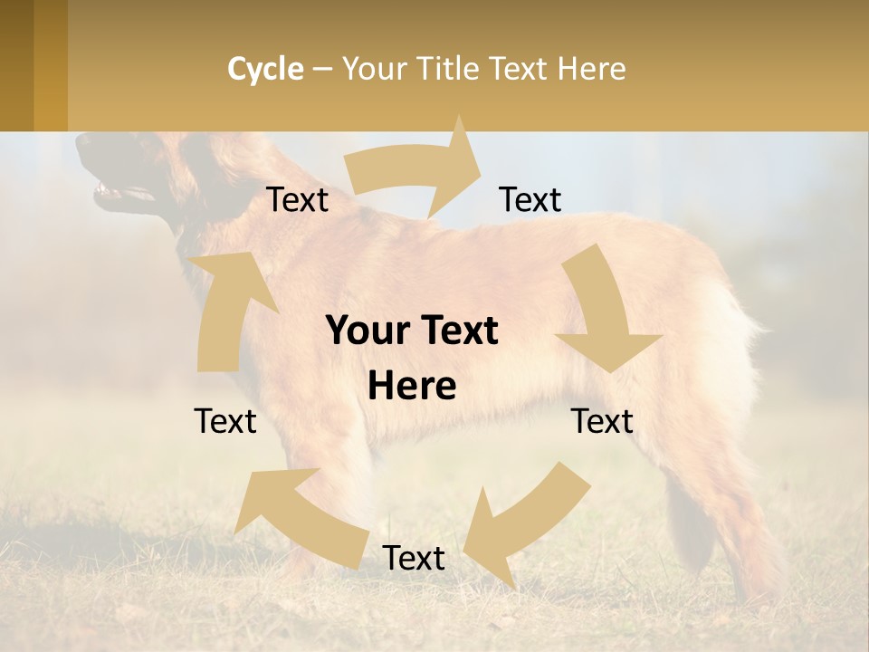 A Large Brown Dog Standing On Top Of A Grass Covered Field PowerPoint Template