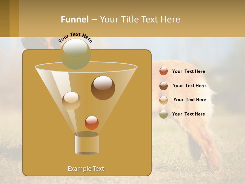 A Large Brown Dog Standing On Top Of A Grass Covered Field PowerPoint Template