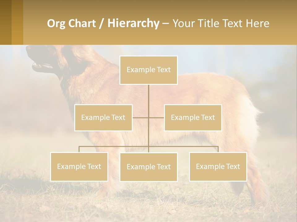 A Large Brown Dog Standing On Top Of A Grass Covered Field PowerPoint Template