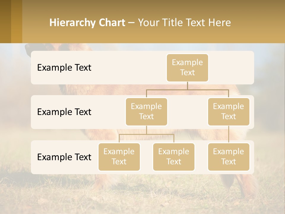 A Large Brown Dog Standing On Top Of A Grass Covered Field PowerPoint Template