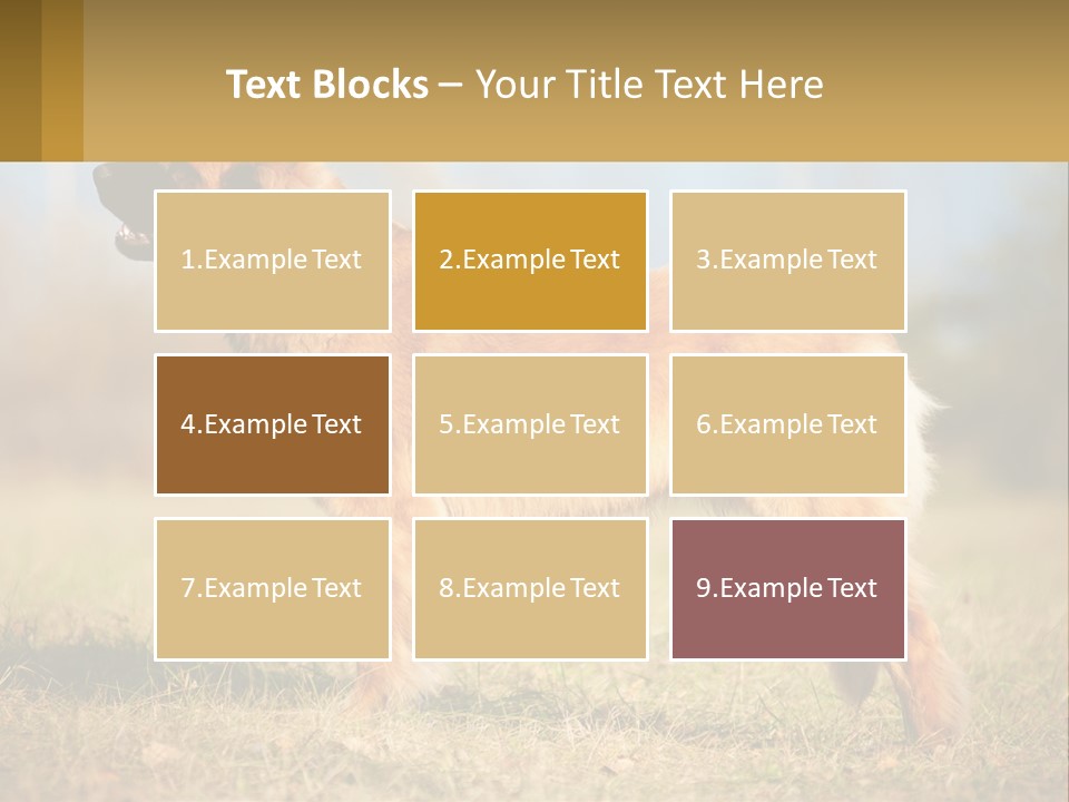 A Large Brown Dog Standing On Top Of A Grass Covered Field PowerPoint Template