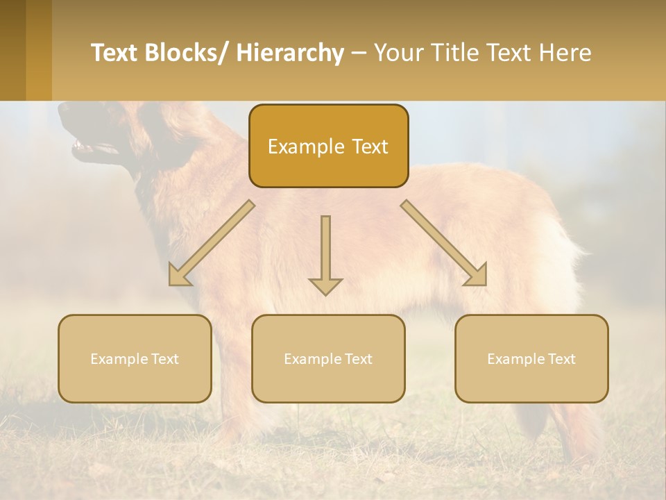 A Large Brown Dog Standing On Top Of A Grass Covered Field PowerPoint Template