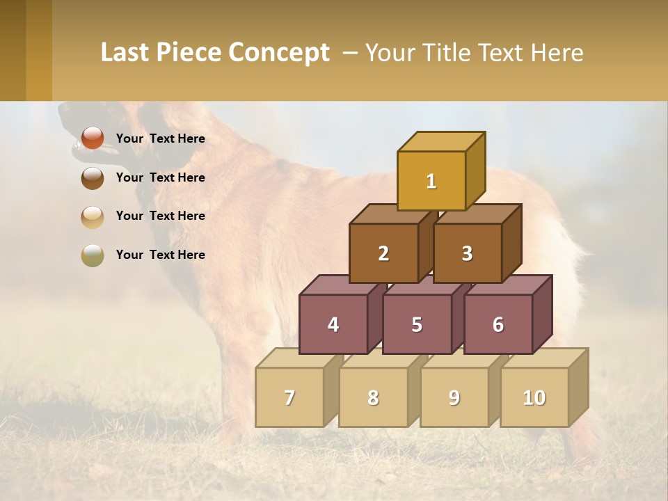A Large Brown Dog Standing On Top Of A Grass Covered Field PowerPoint Template