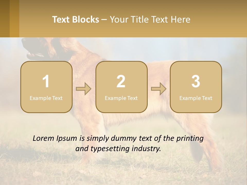A Large Brown Dog Standing On Top Of A Grass Covered Field PowerPoint Template