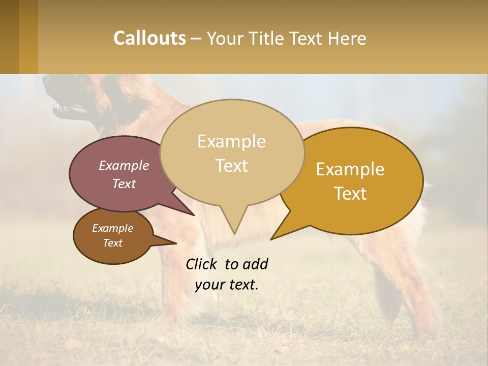 A Large Brown Dog Standing On Top Of A Grass Covered Field PowerPoint Template