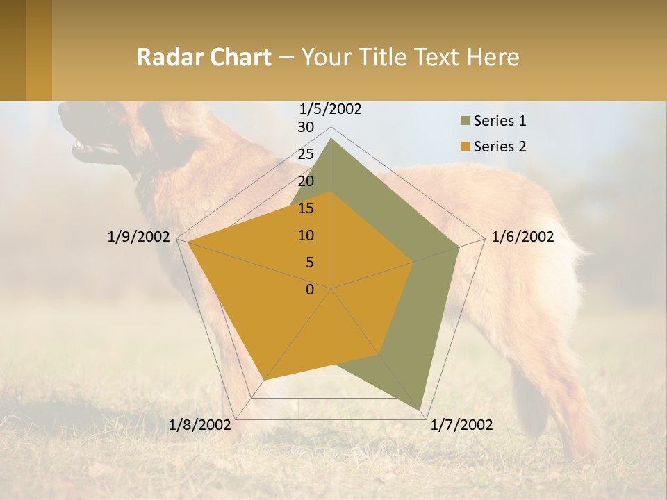 A Large Brown Dog Standing On Top Of A Grass Covered Field PowerPoint Template