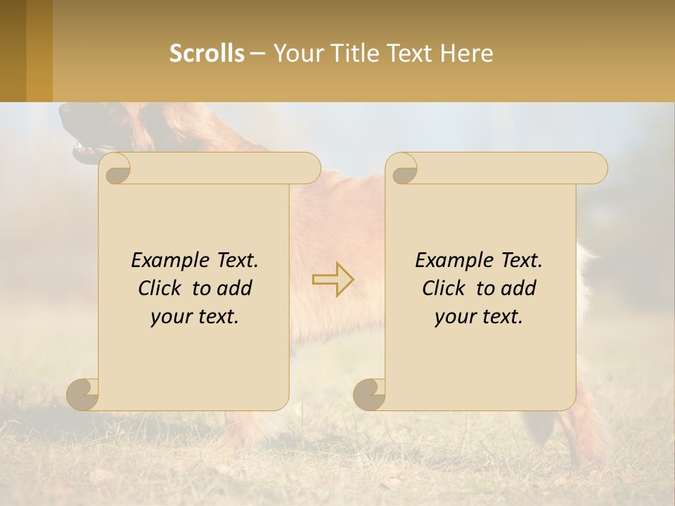 A Large Brown Dog Standing On Top Of A Grass Covered Field PowerPoint Template