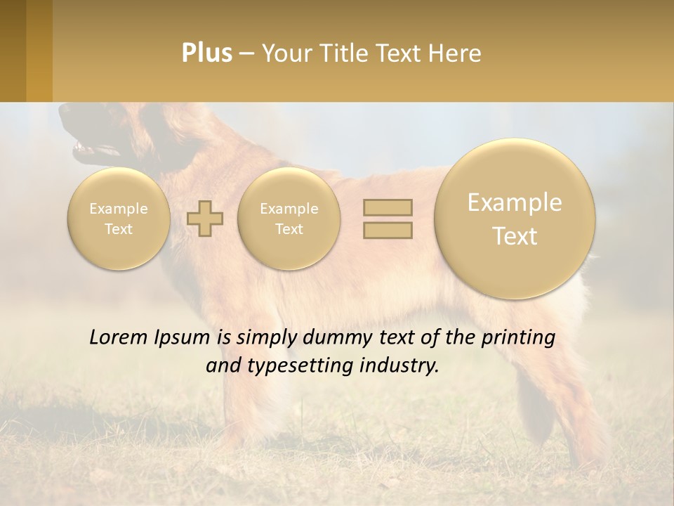 A Large Brown Dog Standing On Top Of A Grass Covered Field PowerPoint Template