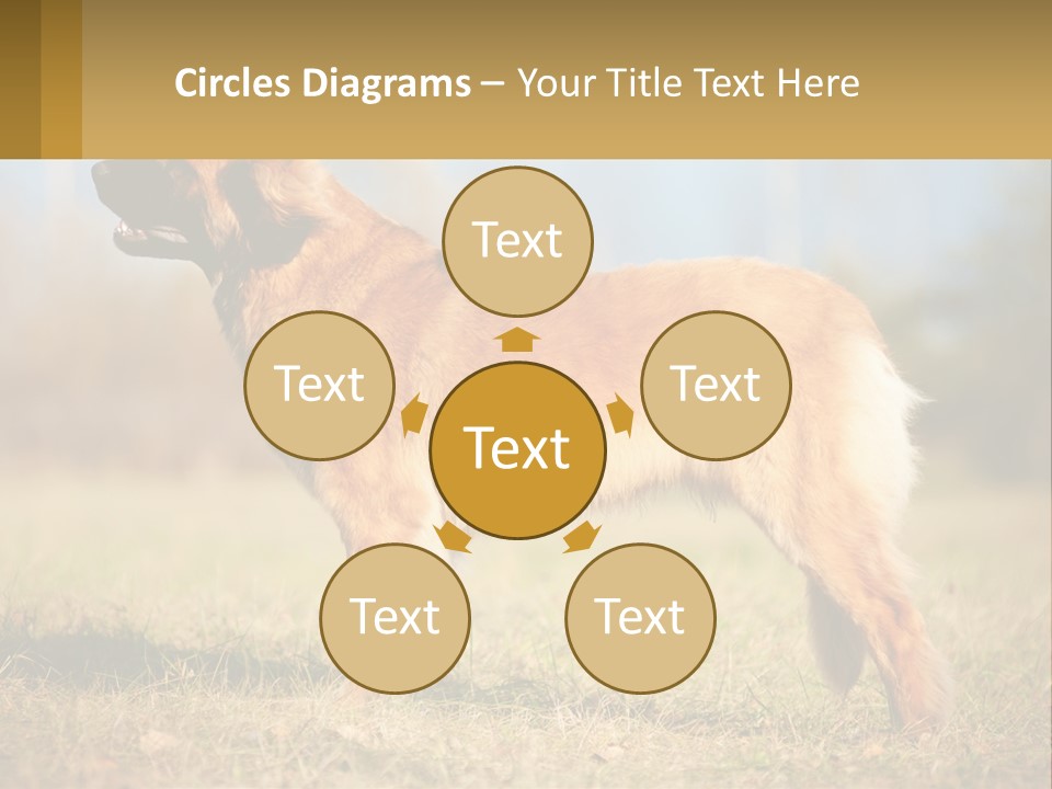 A Large Brown Dog Standing On Top Of A Grass Covered Field PowerPoint Template