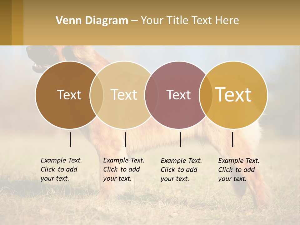 A Large Brown Dog Standing On Top Of A Grass Covered Field PowerPoint Template