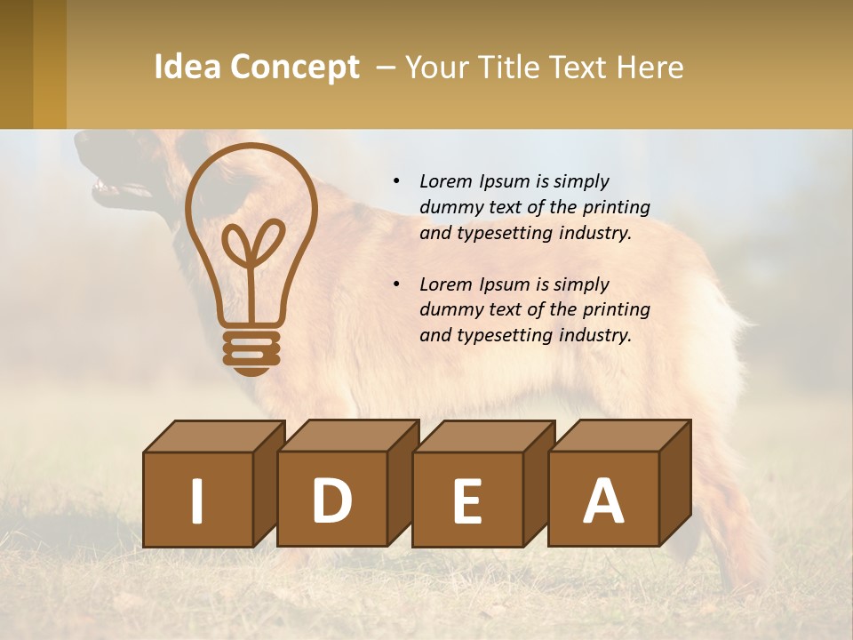 A Large Brown Dog Standing On Top Of A Grass Covered Field PowerPoint Template