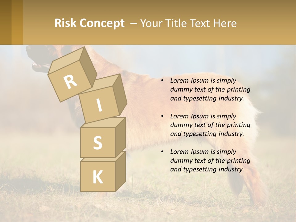 A Large Brown Dog Standing On Top Of A Grass Covered Field PowerPoint Template