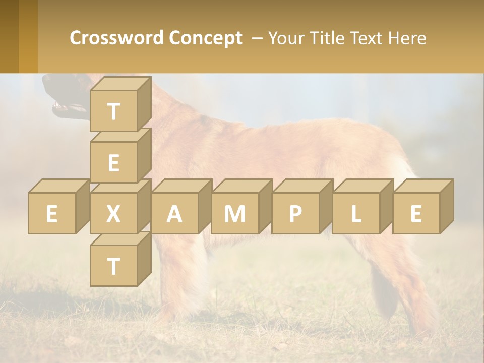 A Large Brown Dog Standing On Top Of A Grass Covered Field PowerPoint Template