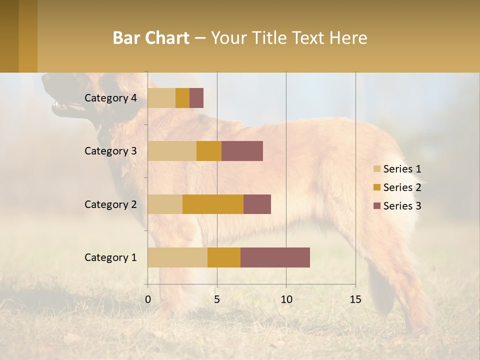 A Large Brown Dog Standing On Top Of A Grass Covered Field PowerPoint Template