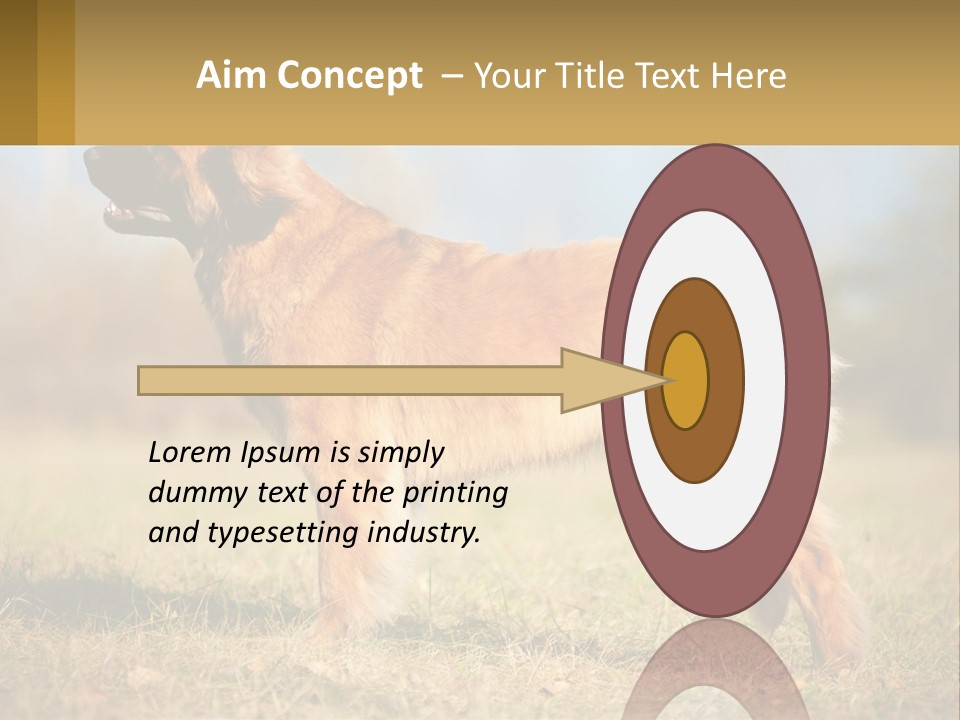 A Large Brown Dog Standing On Top Of A Grass Covered Field PowerPoint Template