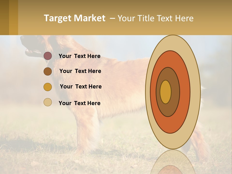 A Large Brown Dog Standing On Top Of A Grass Covered Field PowerPoint Template