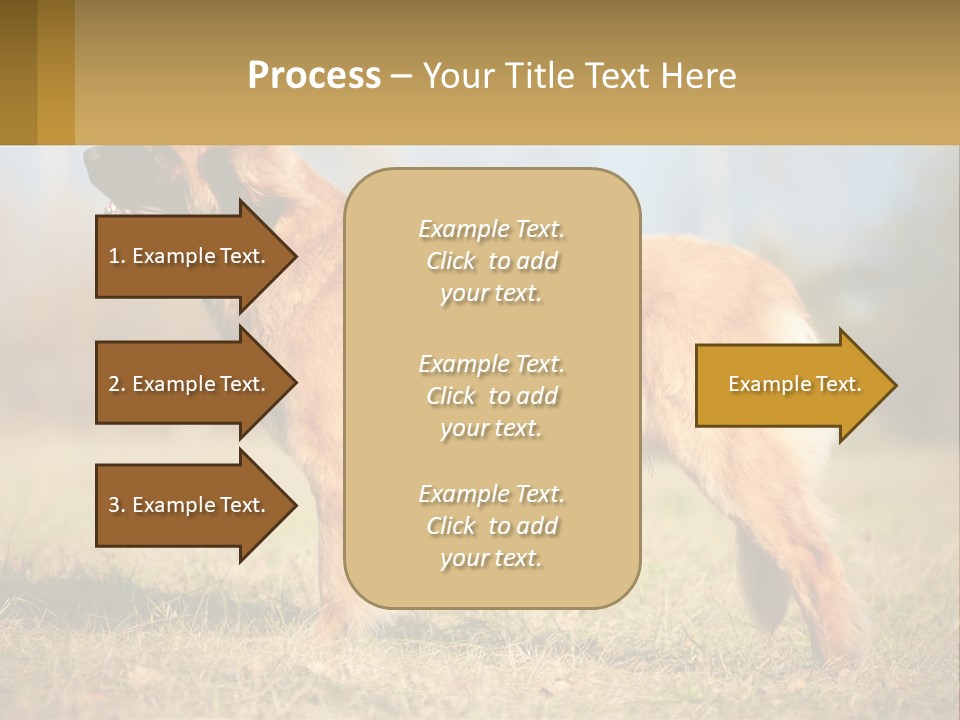 A Large Brown Dog Standing On Top Of A Grass Covered Field PowerPoint Template