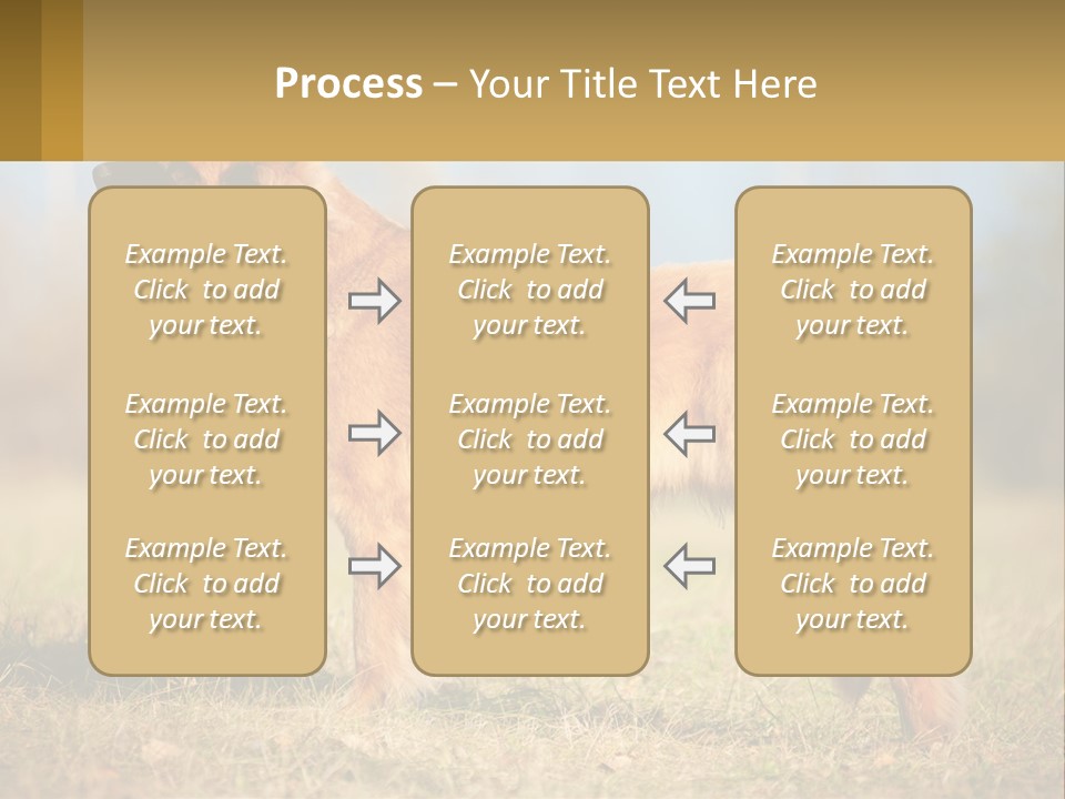 A Large Brown Dog Standing On Top Of A Grass Covered Field PowerPoint Template