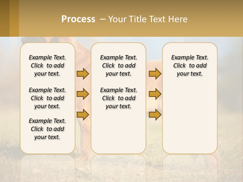A Large Brown Dog Standing On Top Of A Grass Covered Field PowerPoint Template