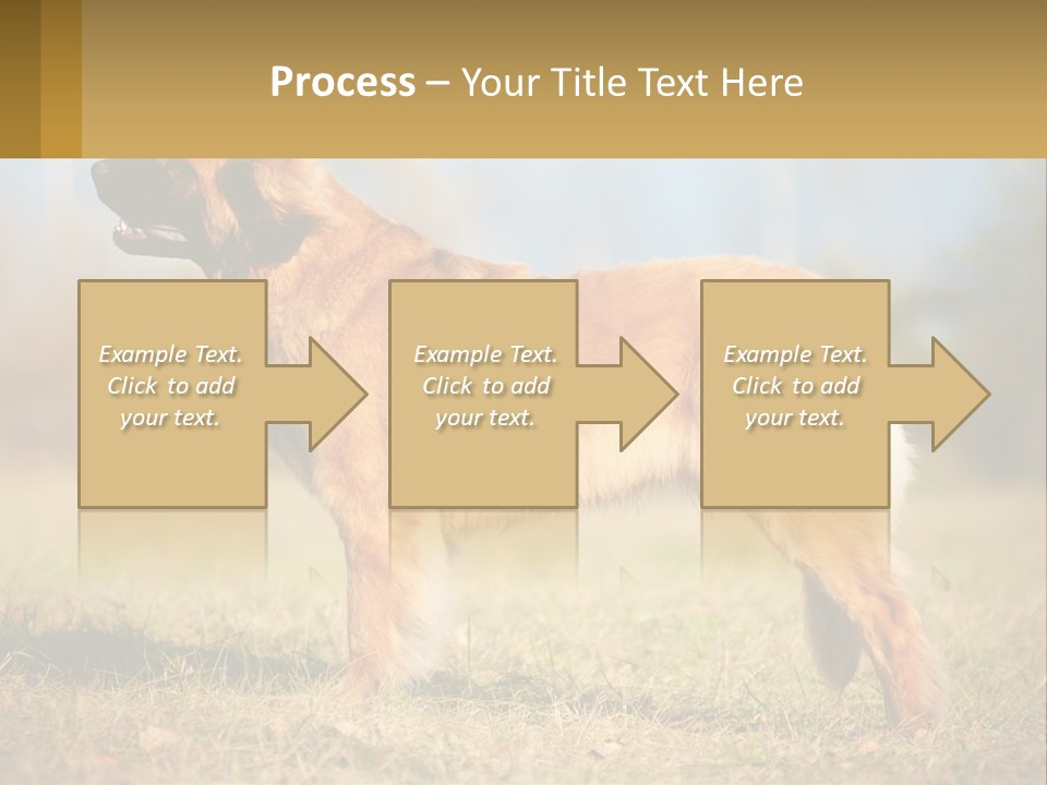 A Large Brown Dog Standing On Top Of A Grass Covered Field PowerPoint Template
