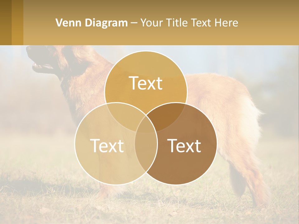 A Large Brown Dog Standing On Top Of A Grass Covered Field PowerPoint Template