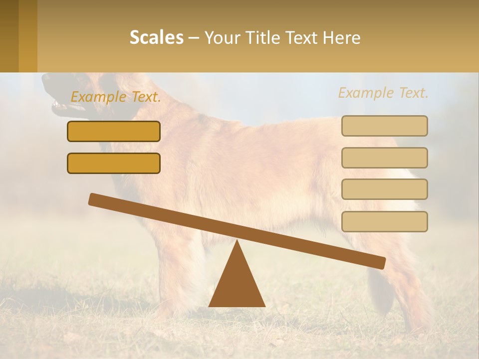 A Large Brown Dog Standing On Top Of A Grass Covered Field PowerPoint Template