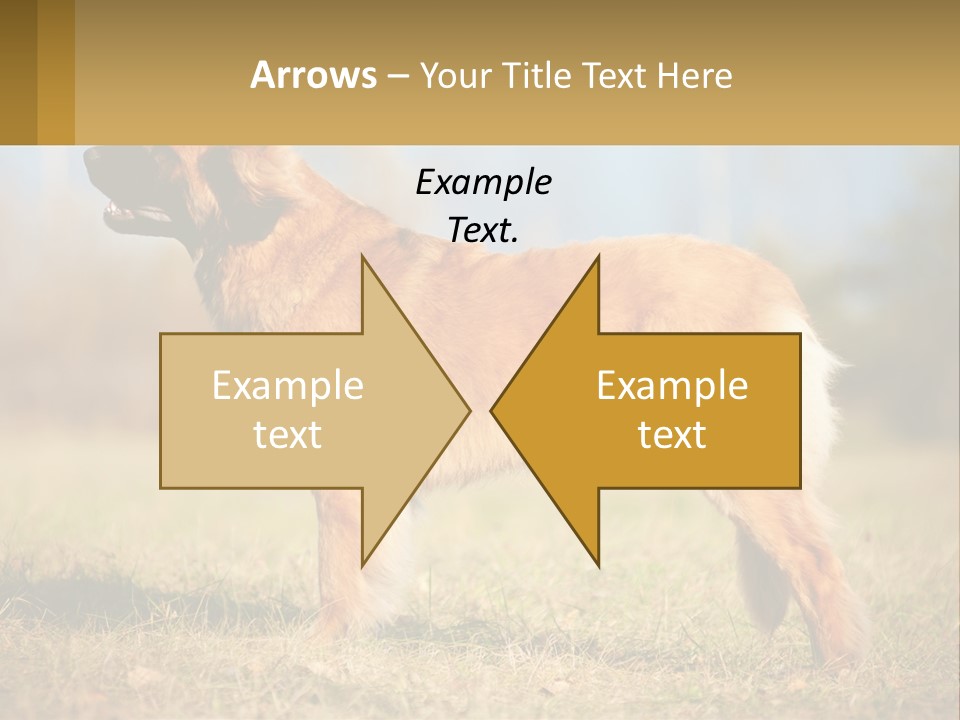 A Large Brown Dog Standing On Top Of A Grass Covered Field PowerPoint Template