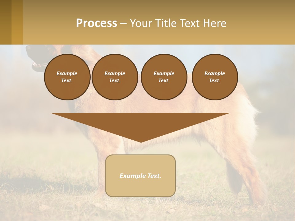 A Large Brown Dog Standing On Top Of A Grass Covered Field PowerPoint Template
